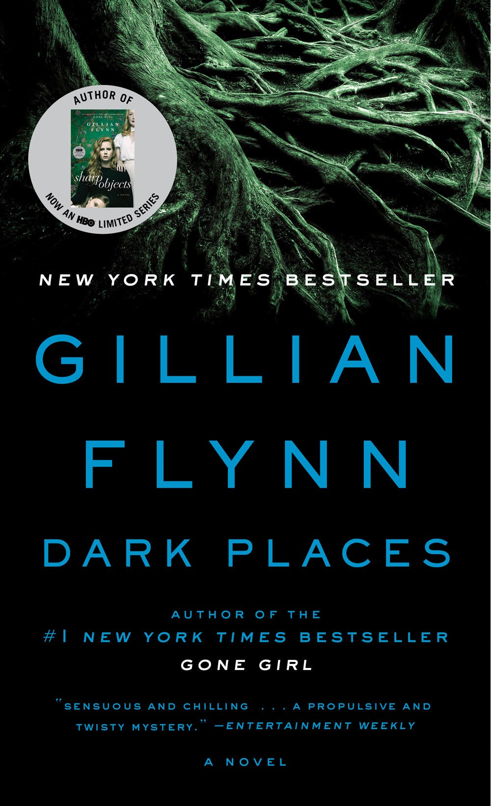 Dark Places : A Novel