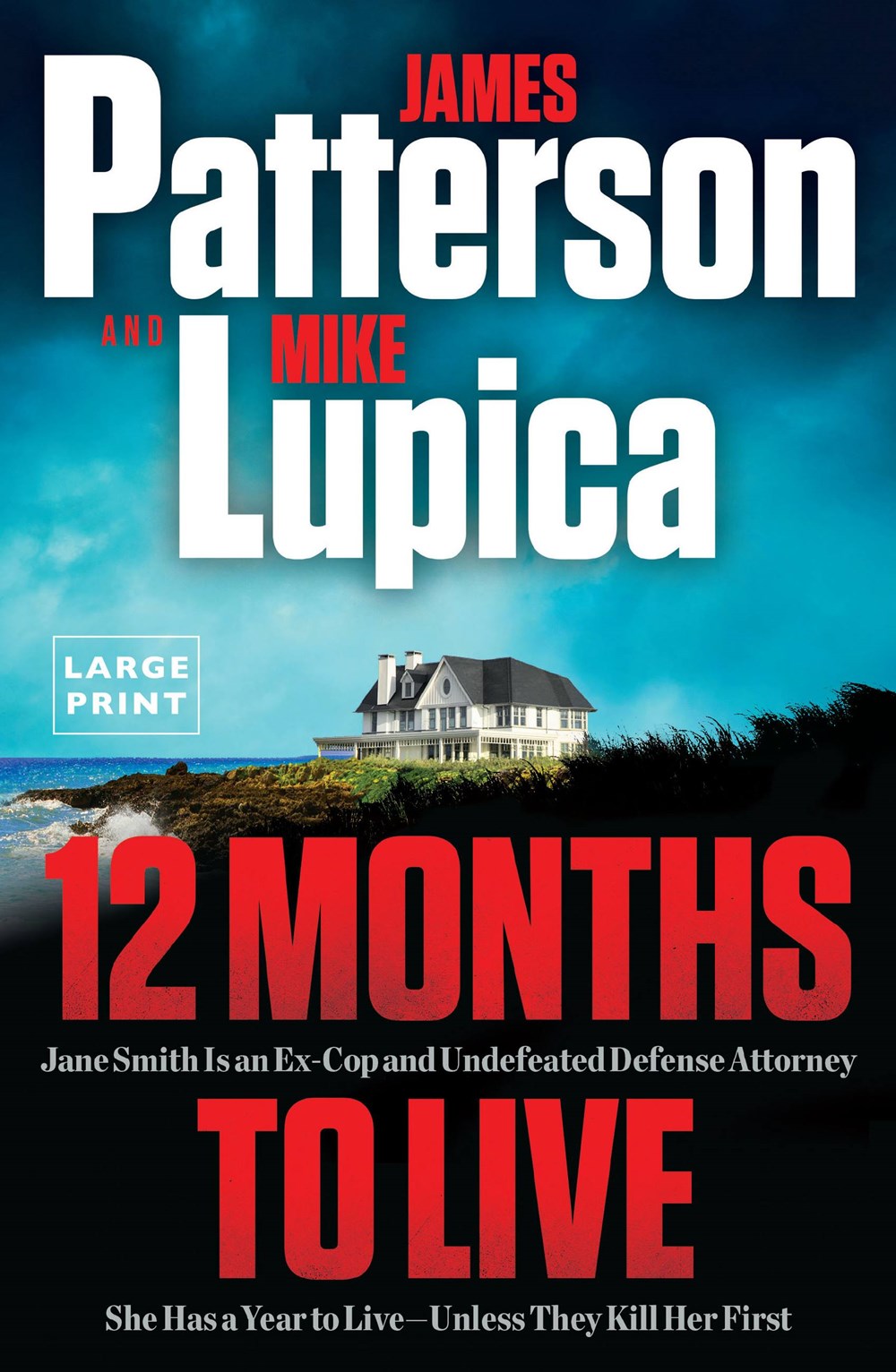 12 Months to Live : Jane Smith has a year to live, unless they kill her first (Large type / large print)