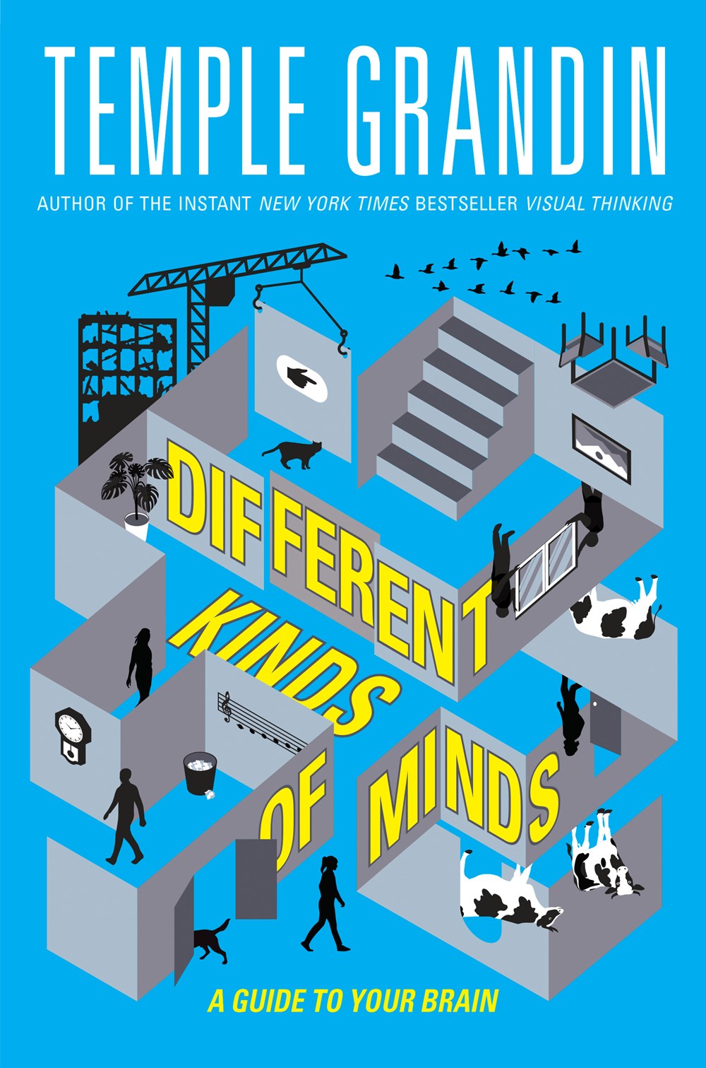 Different Kinds of Minds : A Guide to Your Brain