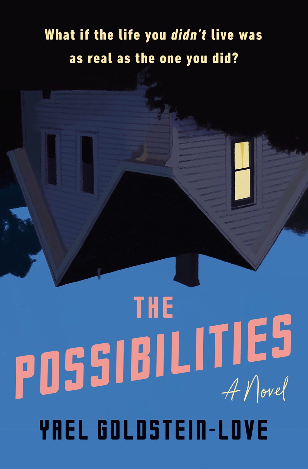 The Possibilities : A Novel