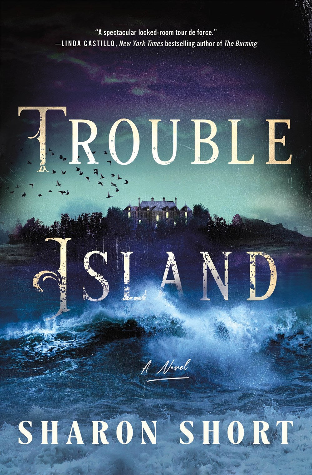 Trouble Island : A Novel