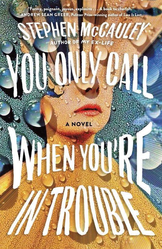 You Only Call When You're in Trouble : A Novel