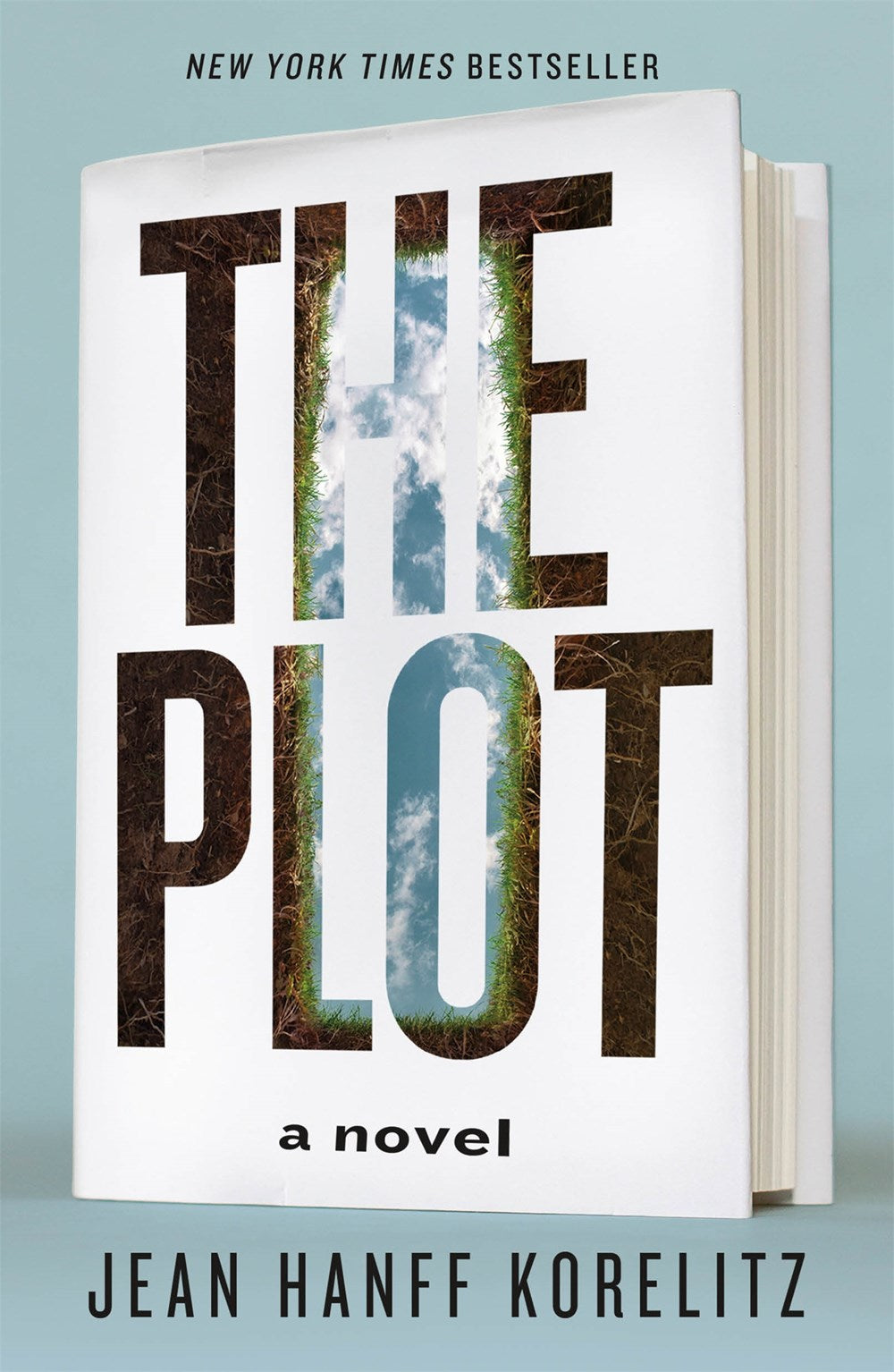 The Plot : A Novel