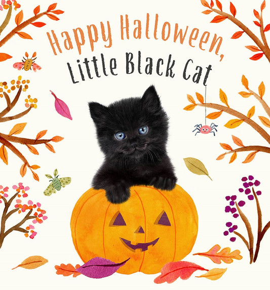 Happy Halloween, Little Black Cat : A Board Book