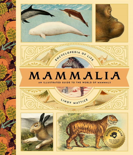 Mammalia : An Illustrated Guide to the World of Mammals