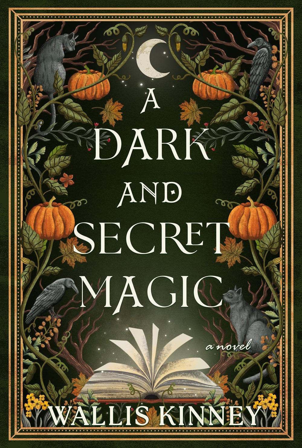 A Dark and Secret Magic : A Novel