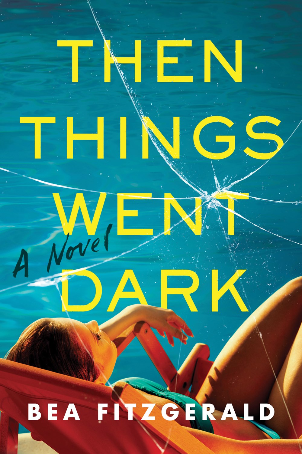 Then Things Went Dark : A Novel