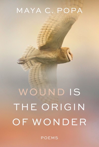 Wound Is the Origin of Wonder : Poems