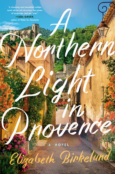 A Northern Light in Provence : A Novel